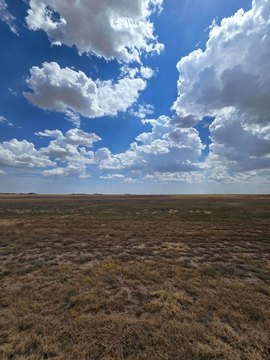 Land -40, Amarillo, TX