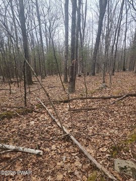 Residential Land in Hawley, PA