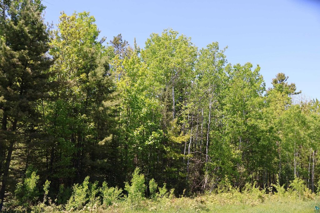 Picture 47