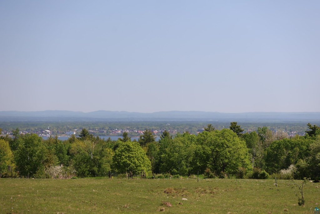 Picture 50