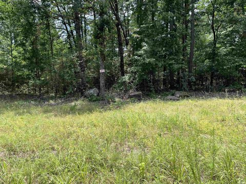 Vacant Land, Greers Ferry, AR