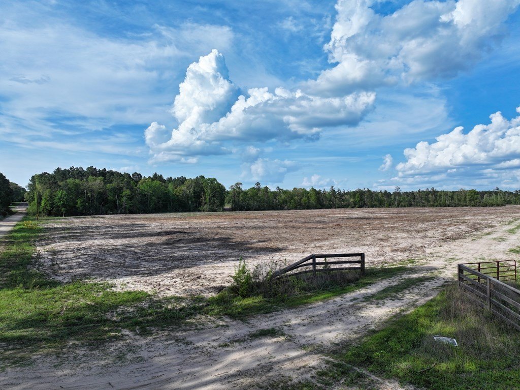 Picture 33