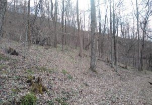 Picture 17