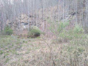 Picture 10