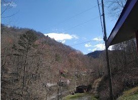 Picture 12