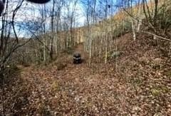 Recreational Hunting Acreage