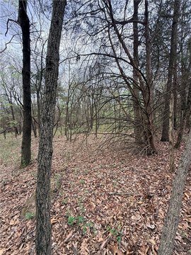 Land, Green Forest, AR