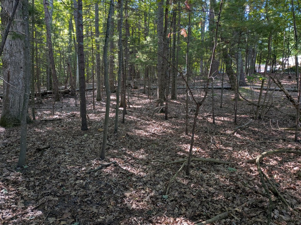 Picture 4