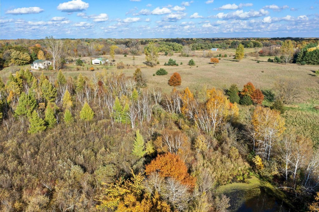 Picture 41
