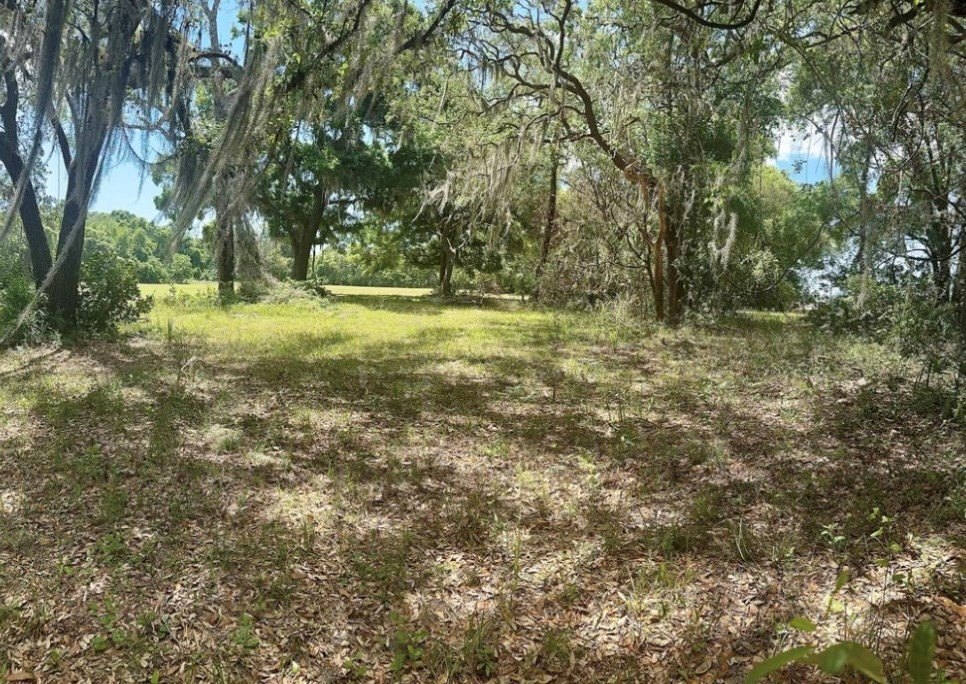 Picture 2