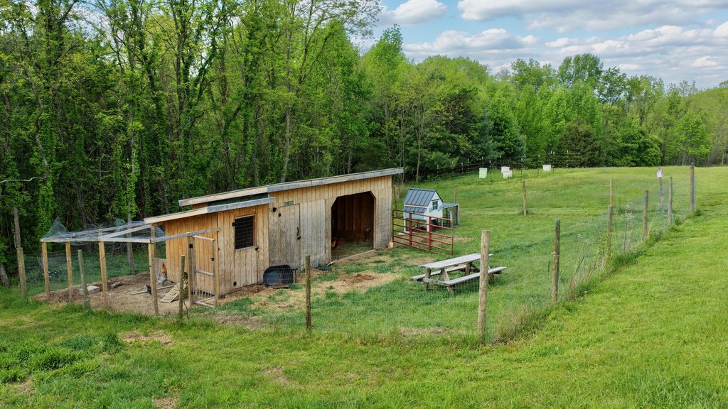 Picture 5