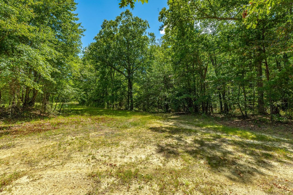 Picture 66