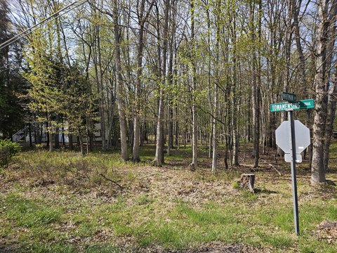 Vacant Lot in Towamensing Trails