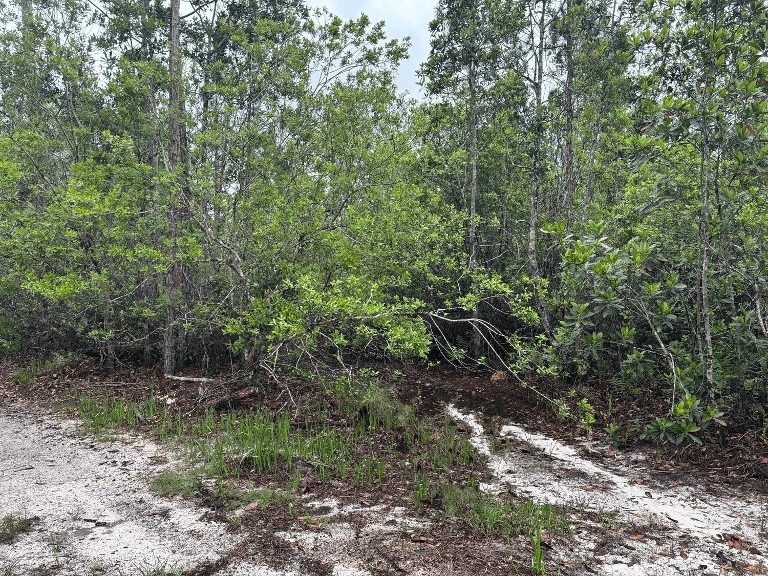 Recreational Land in St. Cloud