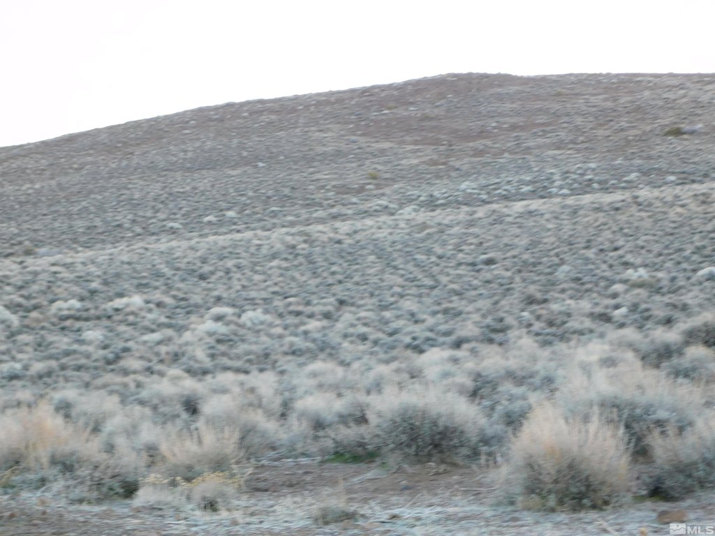 Picture 24