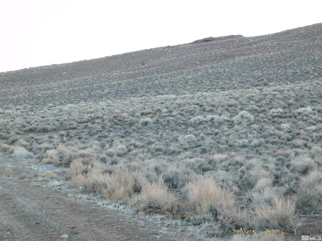 Picture 26