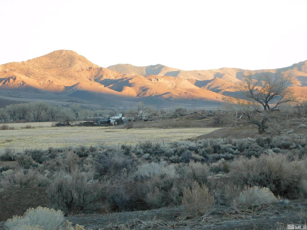 Picture 31