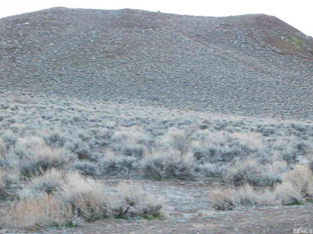 Picture 20