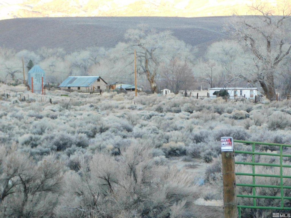 Picture 32
