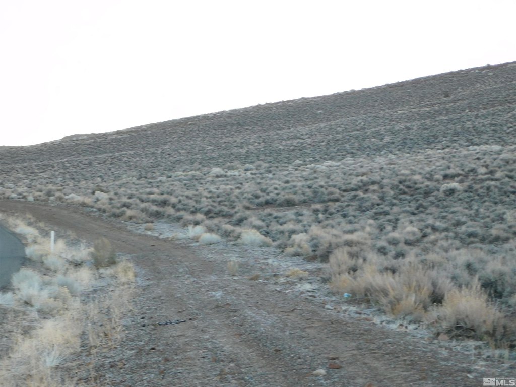 Picture 25
