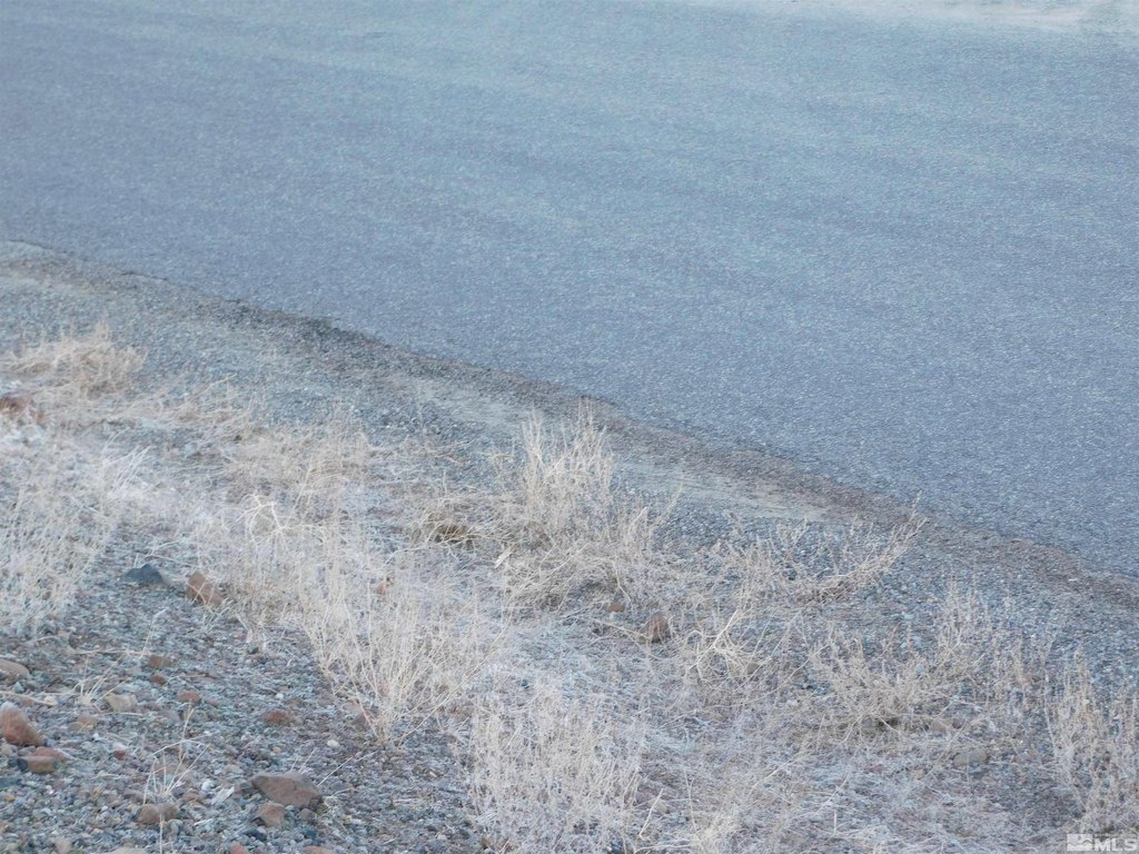 Picture 28
