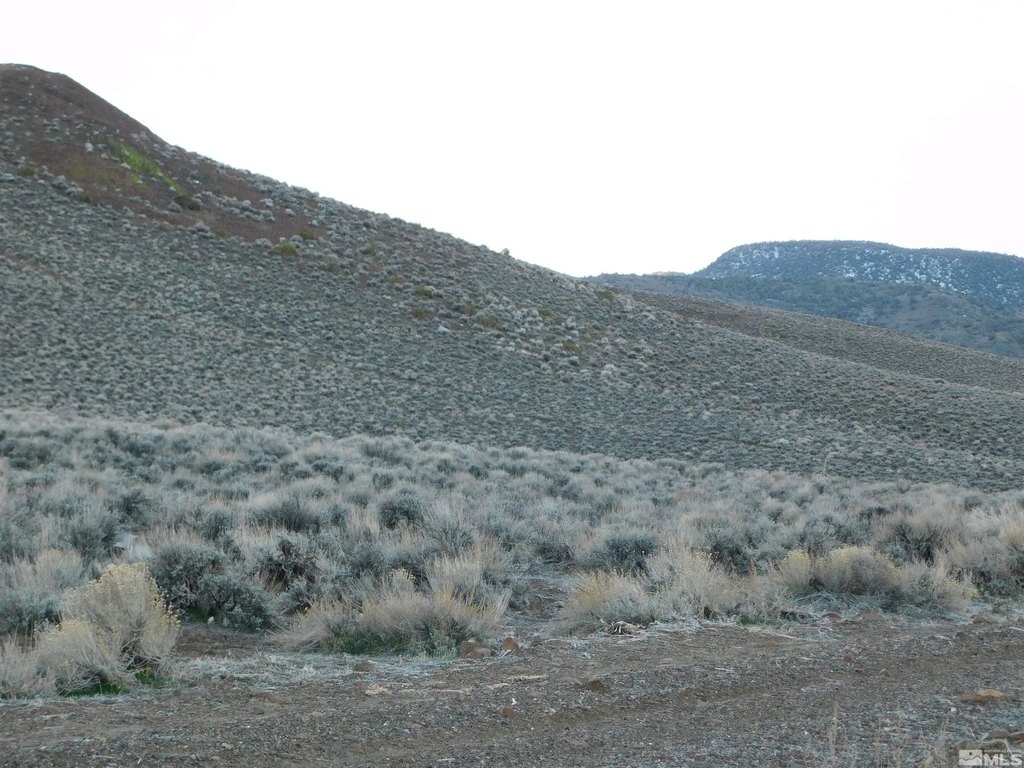 Picture 19