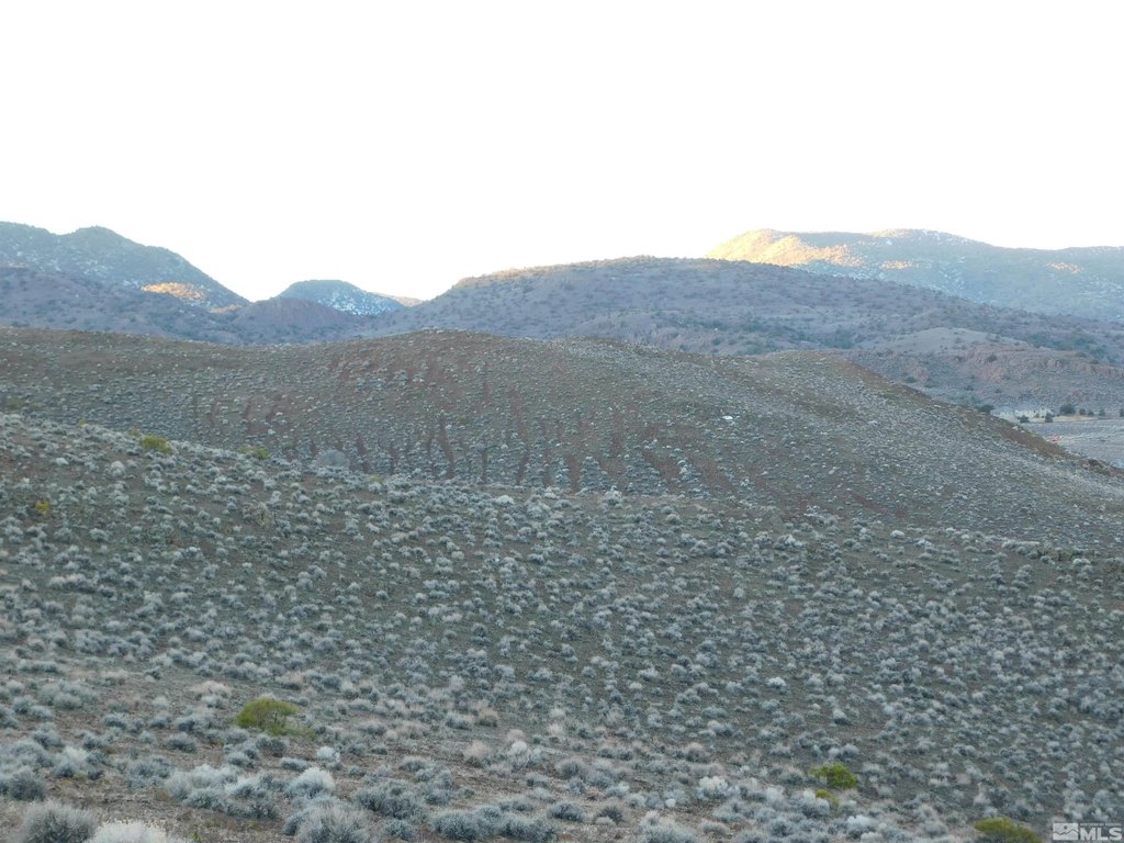 Picture 10