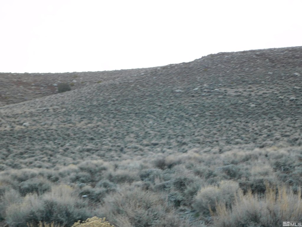 Picture 23