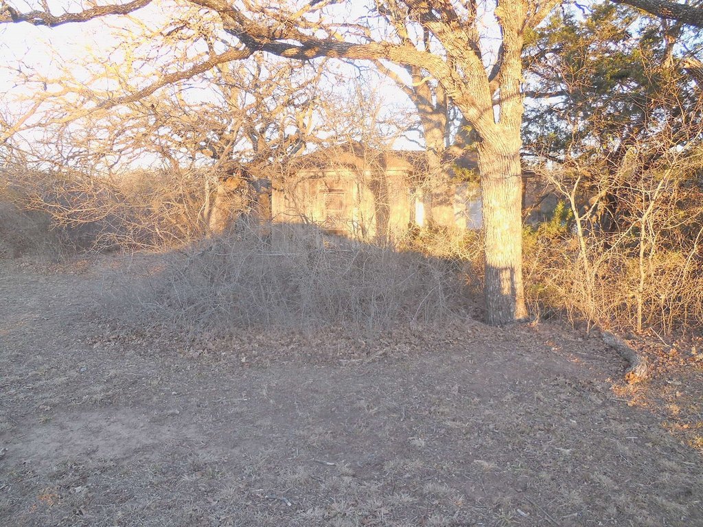 Picture 5