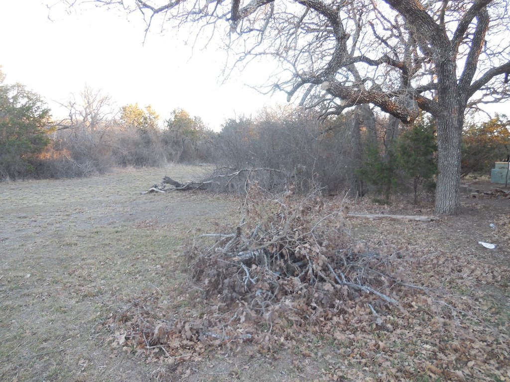 Picture 8