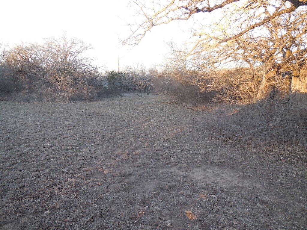 Picture 4