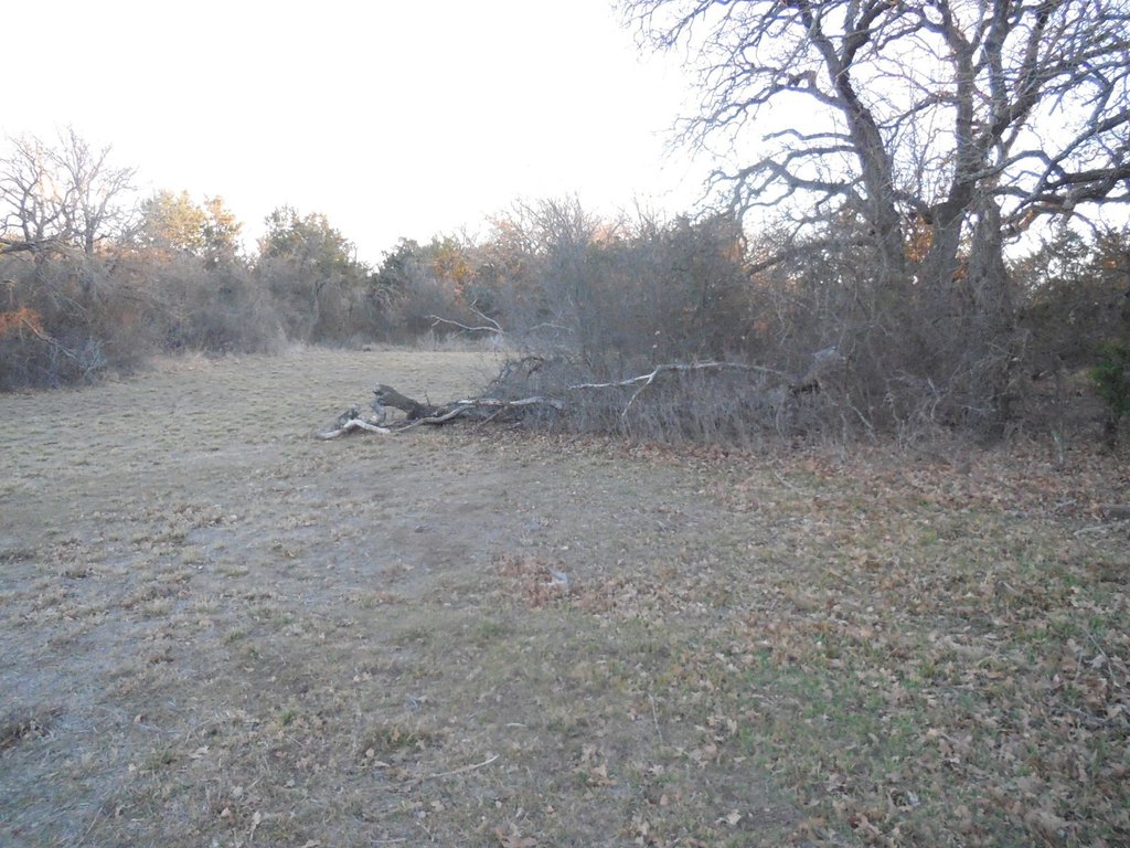Picture 9