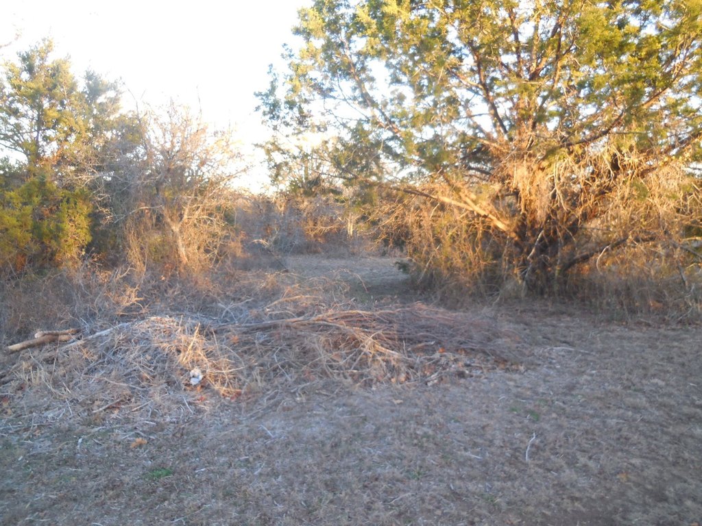 Picture 3