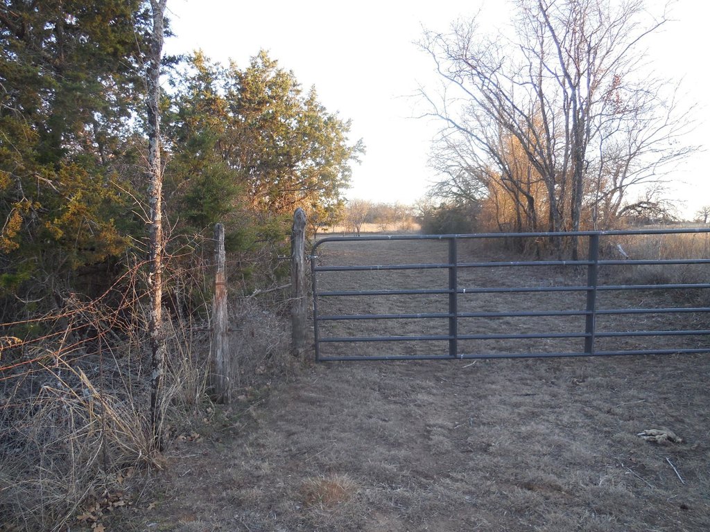 Picture 2