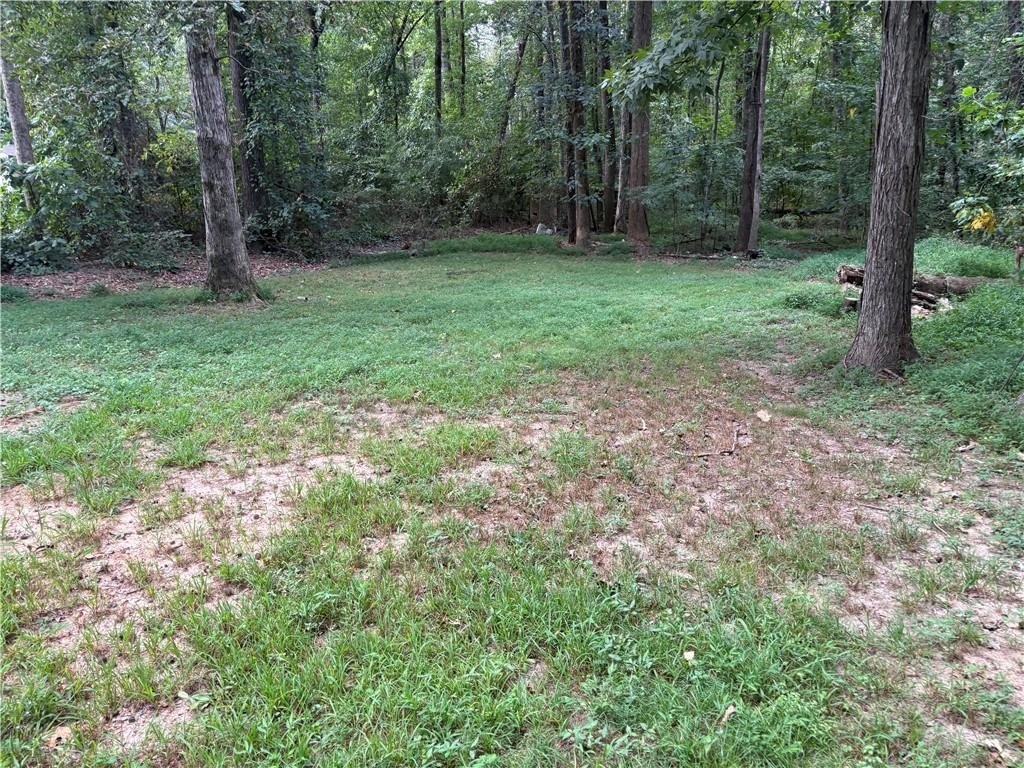 Picture 17
