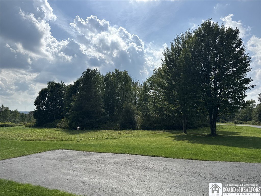 Picture 13