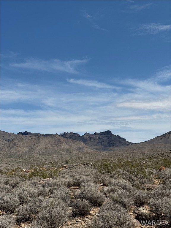 Picture 7
