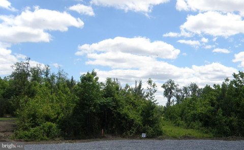 Expansive Land in Georgetown, DE