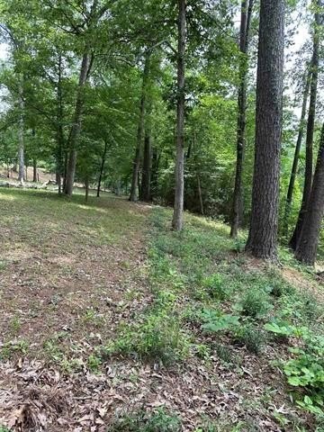 Waterfront Land on Toledo Bend