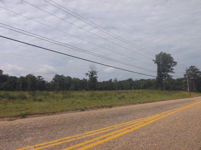 Picture 2