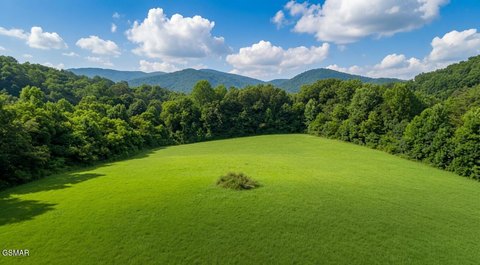 Unrestricted Farmland Tract