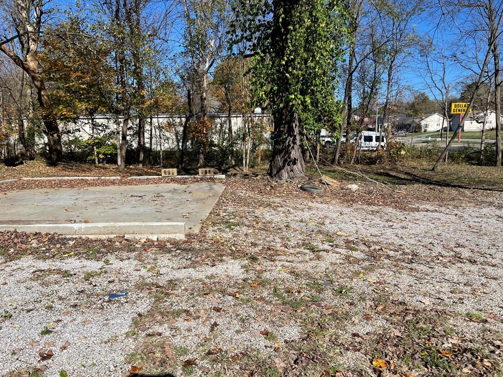 Picture 9