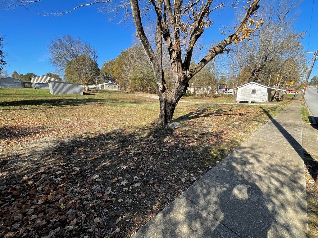 Picture 5