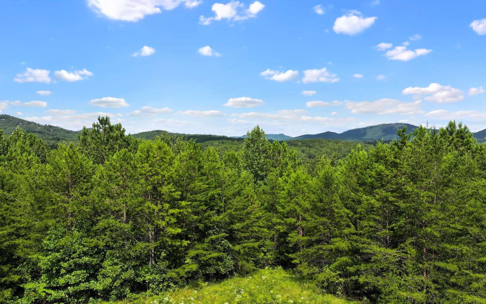 Buildable Lot in Mineral Bluff