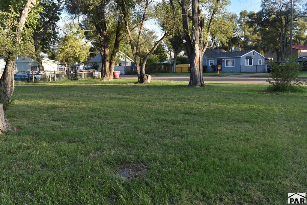 Picture 4