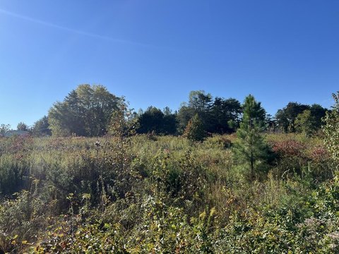 Land, Nathalie, VA