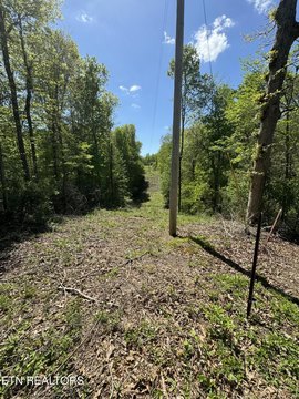 Land Overlooking Clear Fork River