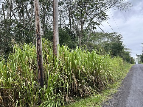 Land, Keaau, HI