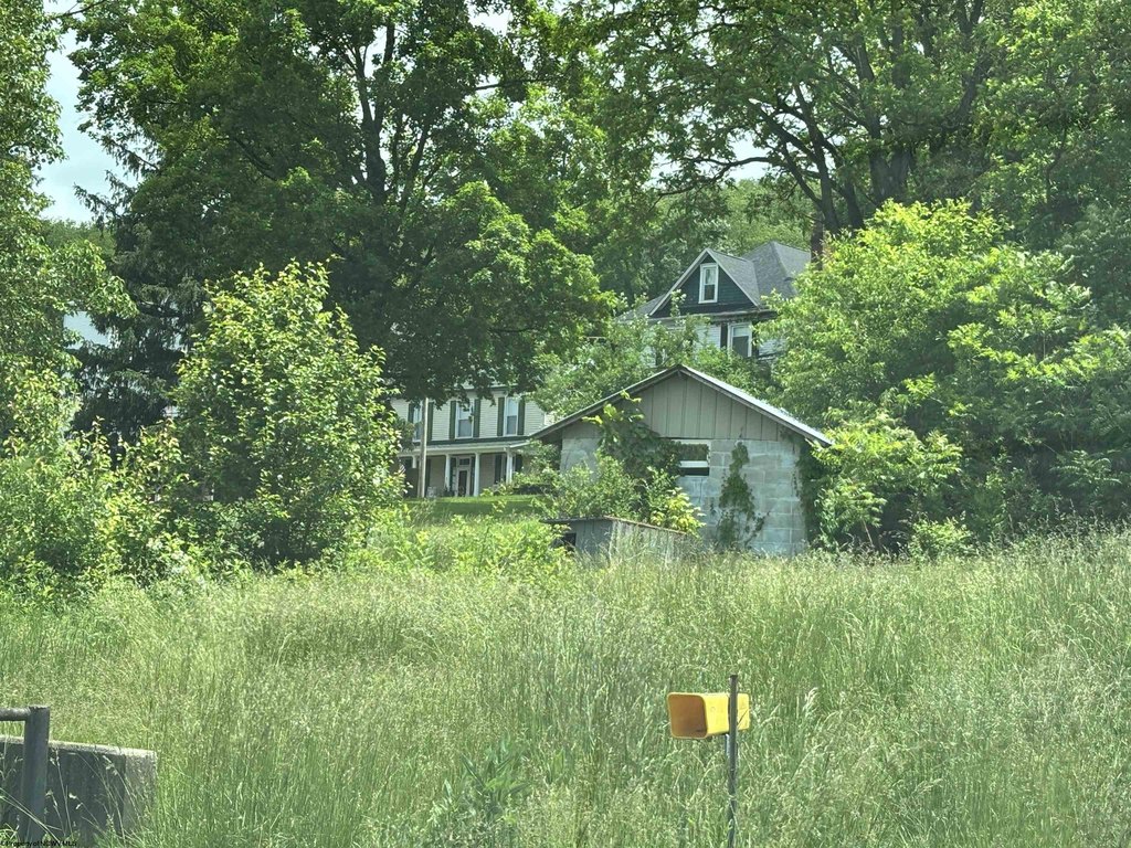 Picture 11