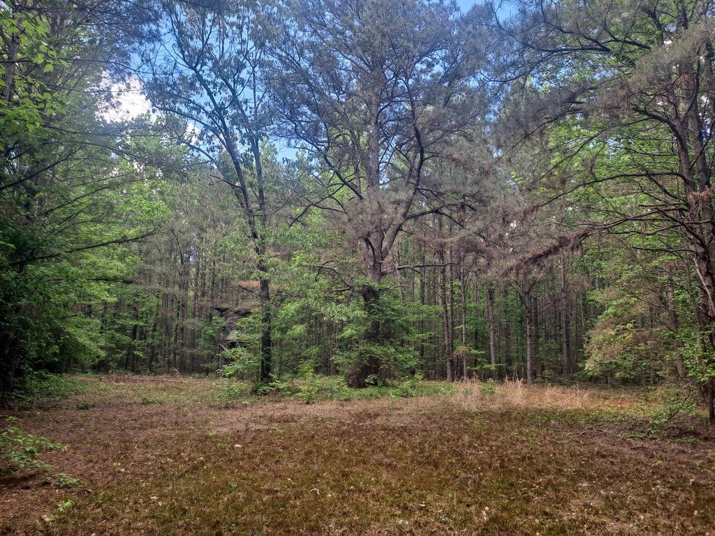 Picture 2